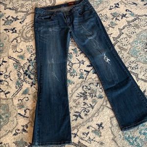 Express Distressed jeans